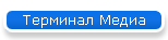 Терминал Медиа