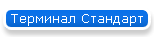 Терминал Стандарт