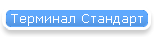 Терминал Стандарт